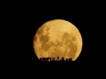 Full Moon Silhouettes
