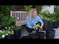 Stunning Container Garden Ideas: Trees, Shrubs, Perennials, and Annuals | Garden with Marta