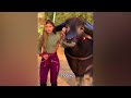 Before & After Animals Growing Up. Amazing Animal Transformation 💥 #short #tiktok #animals