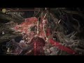 Elden Ring Malenia Cheese with Rivers of Blood Build