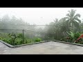 Refreshing rain in summer in village life l overcome insomnia sleep instantly with the sound of rain