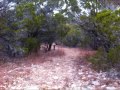 Pedernales Falls TX - 4 mi Loop