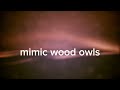 【MV】『The Lament of the Abyss』/  mimic wood owls