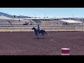 Come Barrel Race With Me In Sonoita… And Our Almost Accident! #gopro #horses