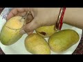 बिना केमिकल घर पर आम पकाने का आसान तरीका | how to Ripen Mangoes 🥭 at home