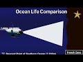 Sea Life Comparison - A Trip to the Bottom of the Ocean