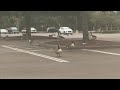 Geese riot