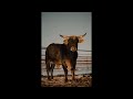 Country Pop Type Beat - 