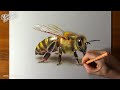 How to draw a bee - Time Lapse (Long Version)