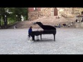 Davide Martello playing in front of Turku Cathedral in Finland (2011)