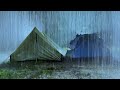 Relaxing Heavy Rain On Tent & Huge Thunder Sounds in Forest At Night | ASMR Rain Sounds For Sleeping