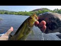 Lehigh River Fishing For SMALLMOUTH BASS With Jerk Bait