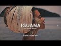 Iguana - Ultra Beats (Long Version)