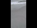 Soothing sound of the ocean