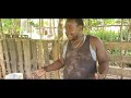 Jamaica Native Goat Best for Meat with Rambo Farm