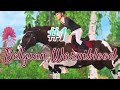Top 10 Show Jumping Horses in Star Stable