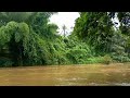 കുതിരപുഴയിൽ വെള്ളപൊക്കം ❤️🥳#river #village #rain #trending #beautiful #beautifulnature #nature#viral