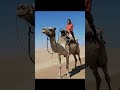 Quad bike and camel ride in Swakopmund | Activities to do in Swakopmund
