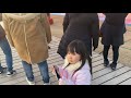 【動画】【投稿】東京ドイツ村のイルミネーションを見てきた。Country farm tokyo german village!!