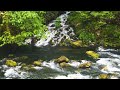 Mountain Stream Flowing- 4K Forest Stream- Flowing Water, White Noise and Nature Sounds for Sleeping