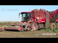 How Are 100 Million Tons Of Carrots Harvested ? Agriculture Technology