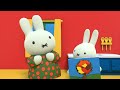 Where's Miffy? | Miffy's Adventures Big & Small