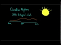 Sleep stages and circadian rhythms | Processing the Environment | MCAT | Khan Academy