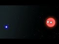 The Life of a Red Dwarf Star