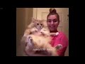🤣 Funny Dog And Cat Videos 😂🐱 Funny Cats Moments 2024 😂