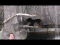 Animal Actors on Location Universal Studios Orlando 2024 (Full Show)