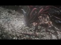 Bloodborne: All 3 Endings (PS4/1080p)