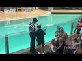 Dan the NEW SeaWorld Mime (HILARIOUS!)