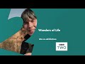 Brian Cox Builds a Cloud Chamber - Wonders of Life - Series 1 Episode 3 Preview - BBC Two