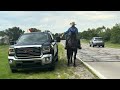 Dallas, 5 year old Friesian Percheron Crossbred Gelding