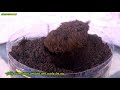 HOW TO MAKE COMPOST at HOME USING PORTABLE COMPOST BIN