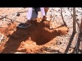 Metal Detecting for Gold Nuggets in WA 2014 (pt 5)