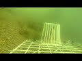 Punggol Jetty Underwater Filming (Part 4)