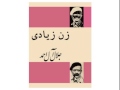 کتاب صوتی فارسی  زن زیادی  نوشته جلال ال احمد, داستان دوم: خانوم نصرالدوله ۱