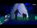 Heelwork To Music Competition Winner | Crufts 2024