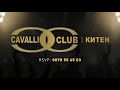 DJ Emo - Cavalli Summer Mix 2024 (Tok Po Tqloto) V