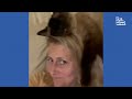 Hilarious Dog Hates Medicine 😅 | FUNNIEST Cats and Dogs - Best Pet Videos