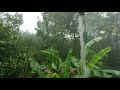 RAIN COMING | #RAIN | MONSOON | RAINFALL in the TROPICS | RAIN ASMR