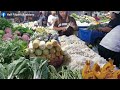 Roxas City Public Market Seafood Capital of the Philippines | Kalusugan at Kasarapan ng Karagatan 🇵🇭