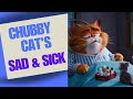 Chubby Cat's Heartbreaking Journey to Recovery