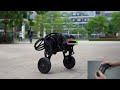 Diablo, A Direct-Drive Wheeled-Leg Robot