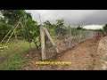 Perimeter fencing using precast concrete post, cyclone wire, and barbed wire.