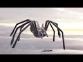 Enemy Spider