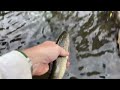 Caught a Trout - Actor Vlog 32