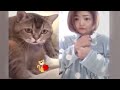 😆 Funny Dog And Cat Videos 😆😹 Funny Animal Videos 😸