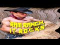 Ram Ranch [content aware scale]